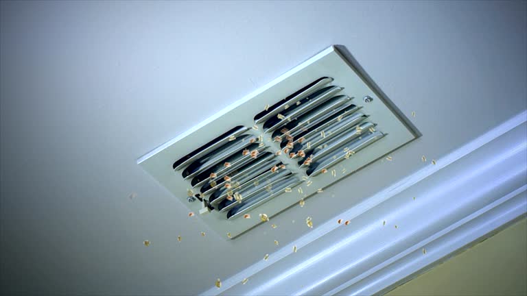 Best Affordable Duct Cleaning Services  in Mount Prospect, IL