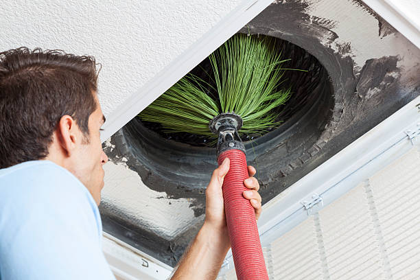 Best Affordable Air Duct Cleaning  in Mount Prospect, IL
