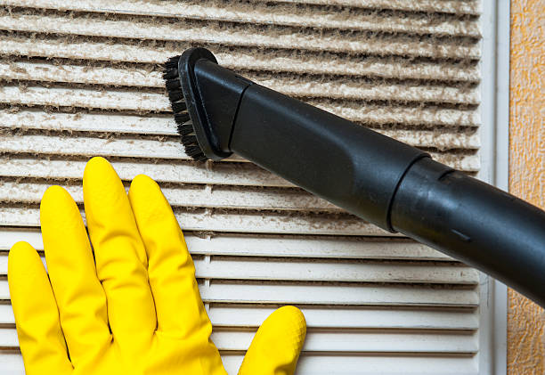 Best Home Air Vent Cleaning  in Mount Prospect, IL